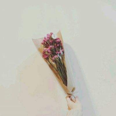 橙光游戏鲜花账号共享下载